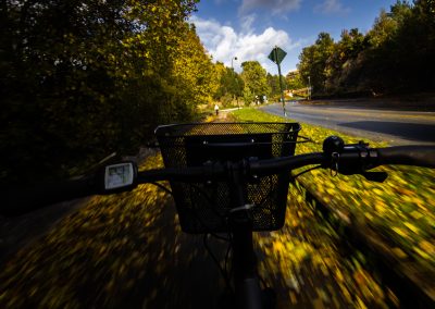 handless bike in a fall setting, riding down the road