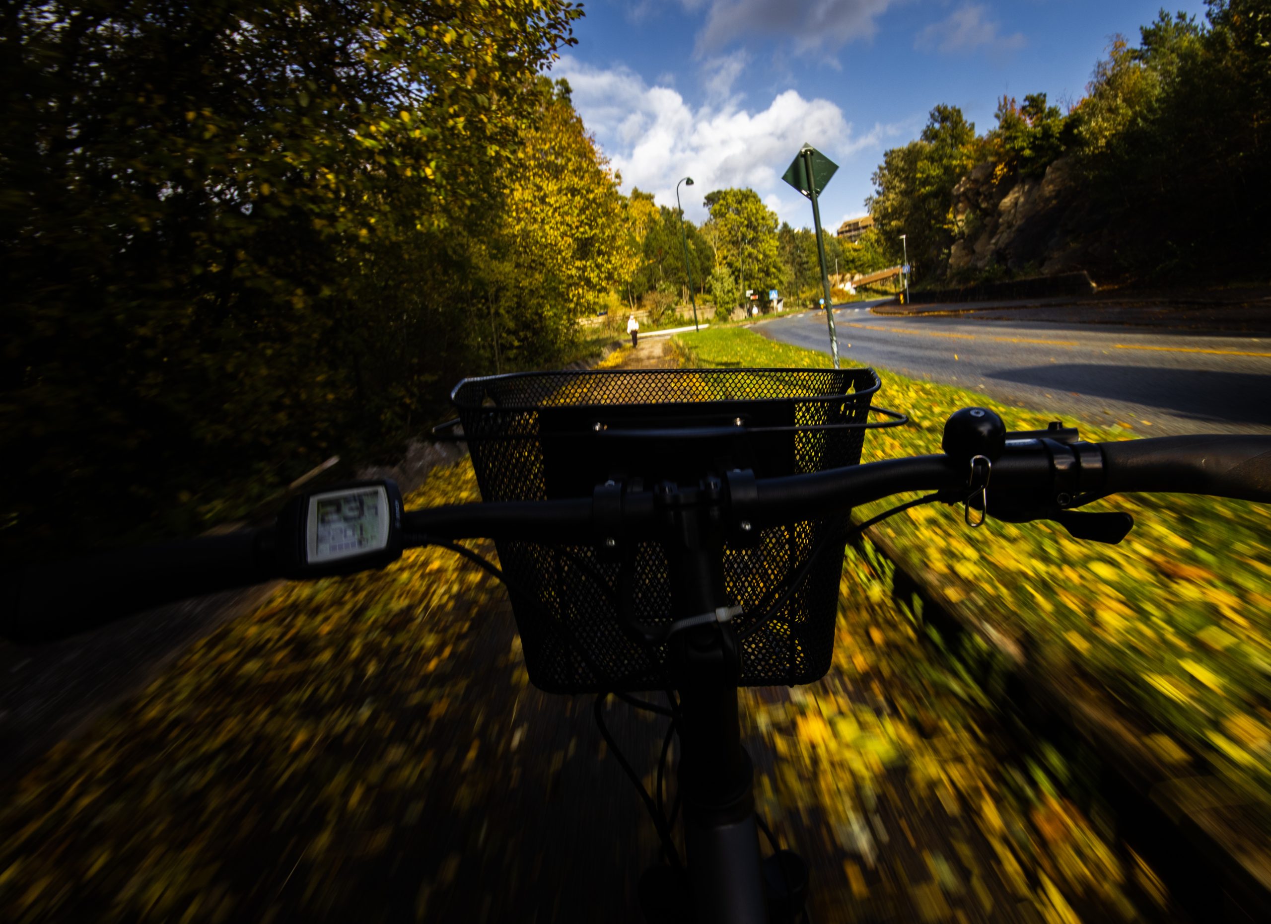 handless bike in a fall setting, riding down the road